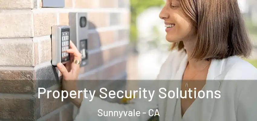  Property Security Solutions Sunnyvale - CA